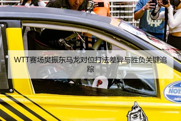 WTT赛场樊振东马龙对位打法差异与胜负关键追踪