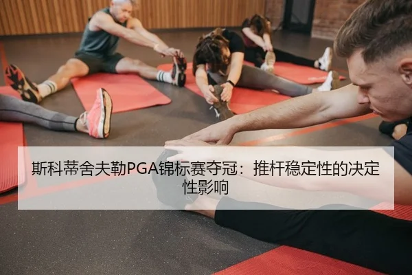 si-ke-di-she-fu-lei-jin-biao-sai-duo-guan-tui-gan-wen-ding-xing-de-jue-ding-xing-ying-xiang-2-662.jpg